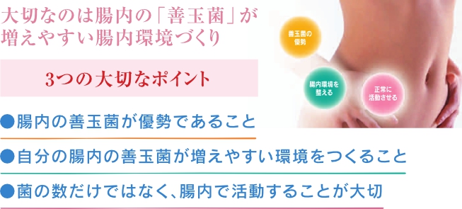 大切なのは腸内の「善玉菌」が増えやすい腸内環境づくり